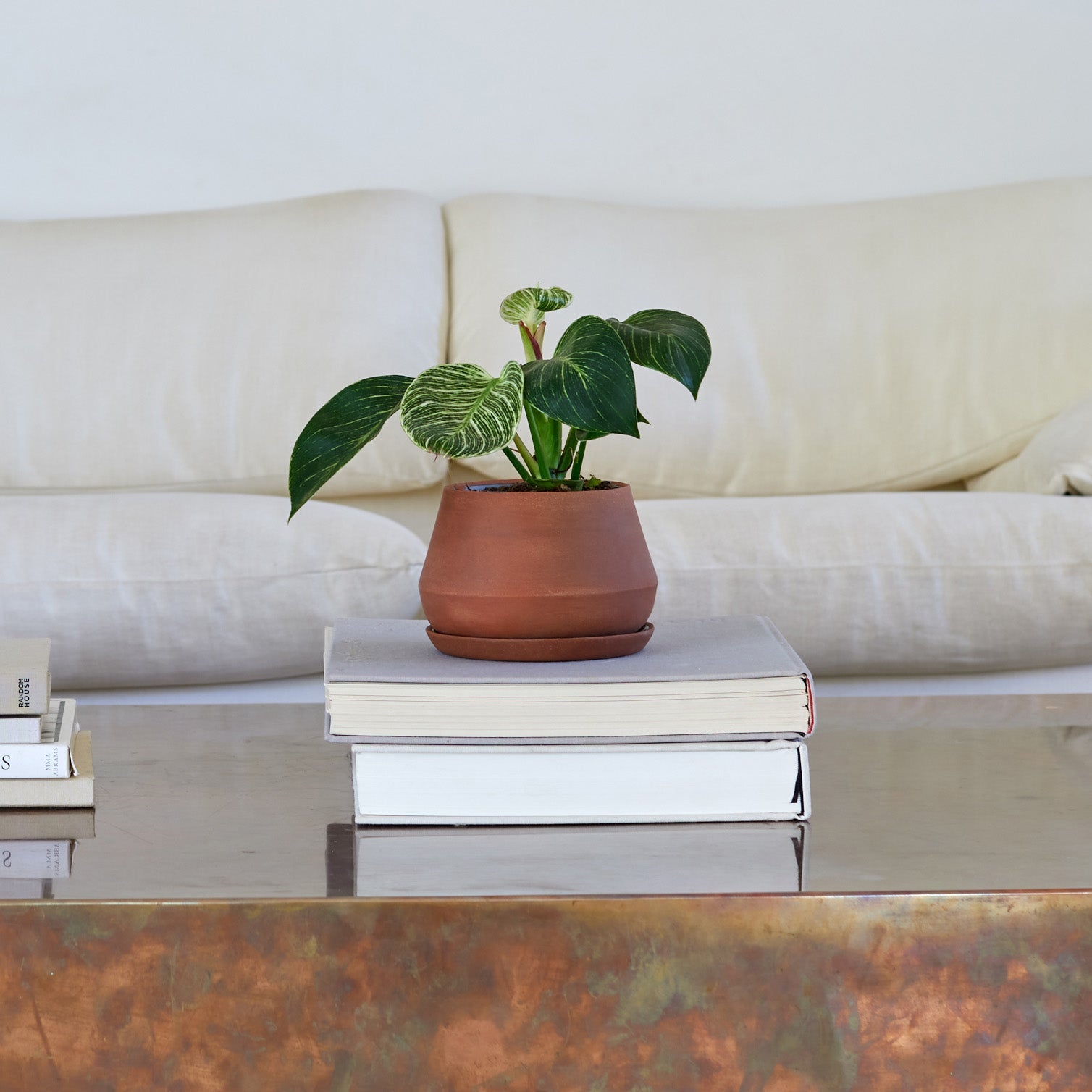 The Rancho Planter