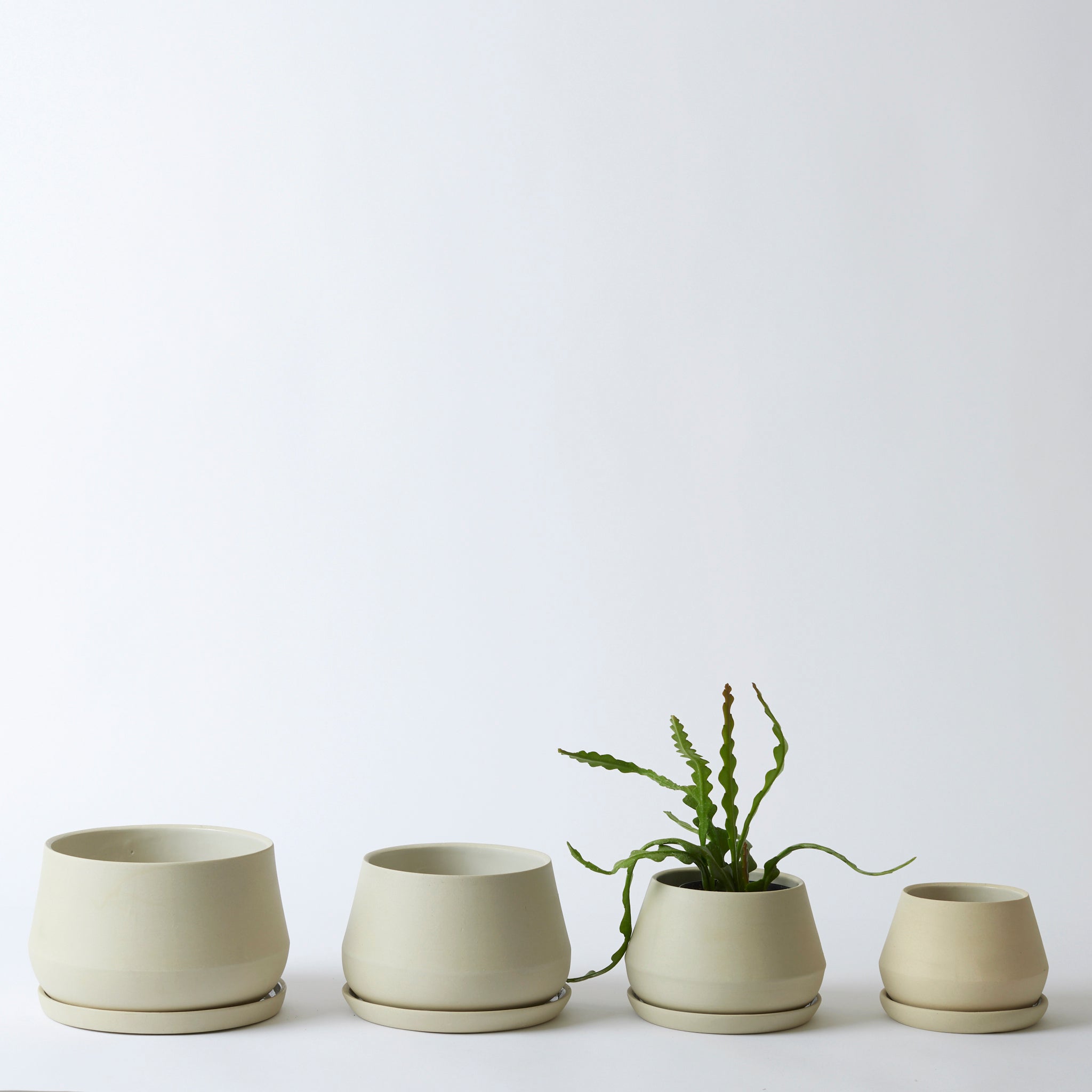 The Rancho Planter