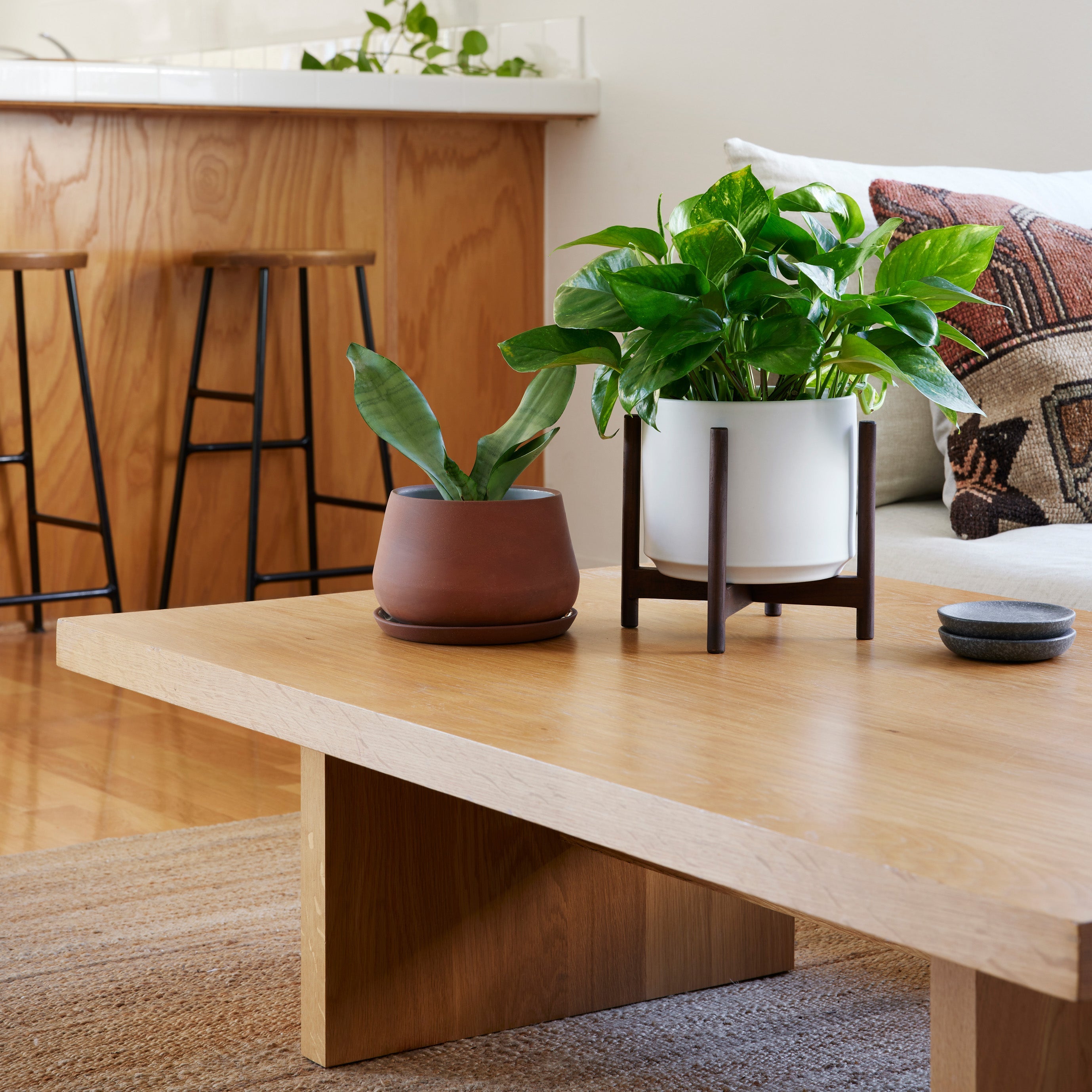The Rancho Planter