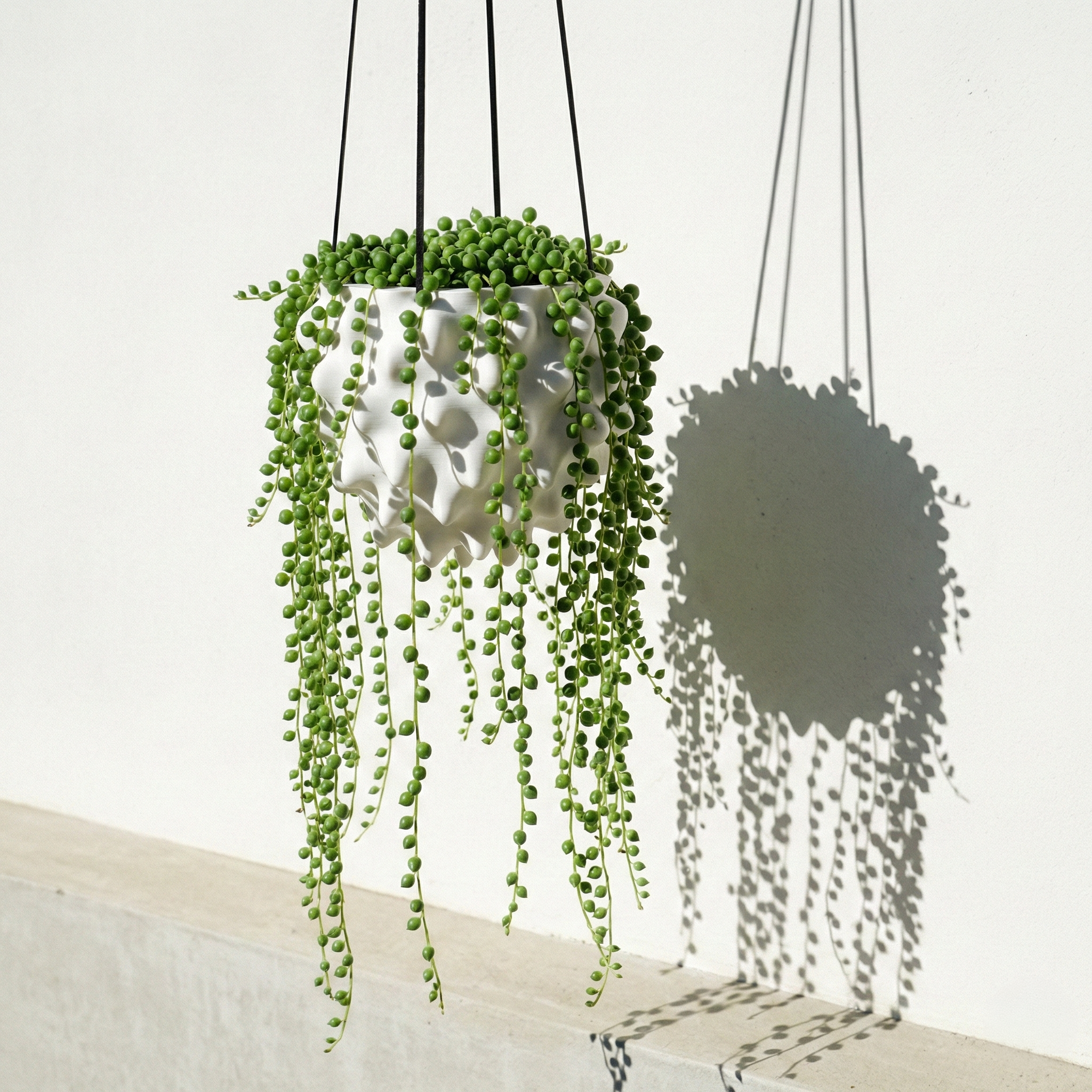 hanging planter with drainage The Creature Orb Hanging Planter Pot With Drainage – BlissfulHomeandGardening