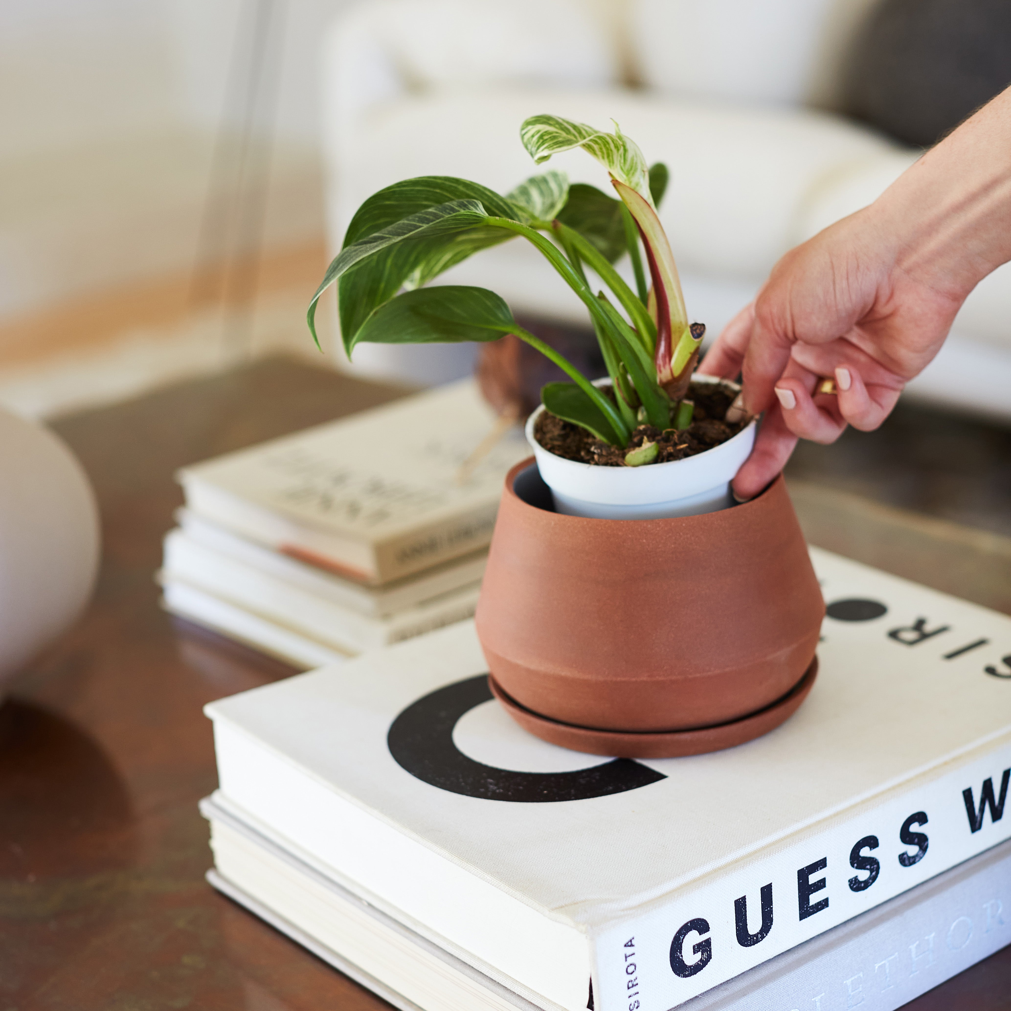 The Rancho Planter