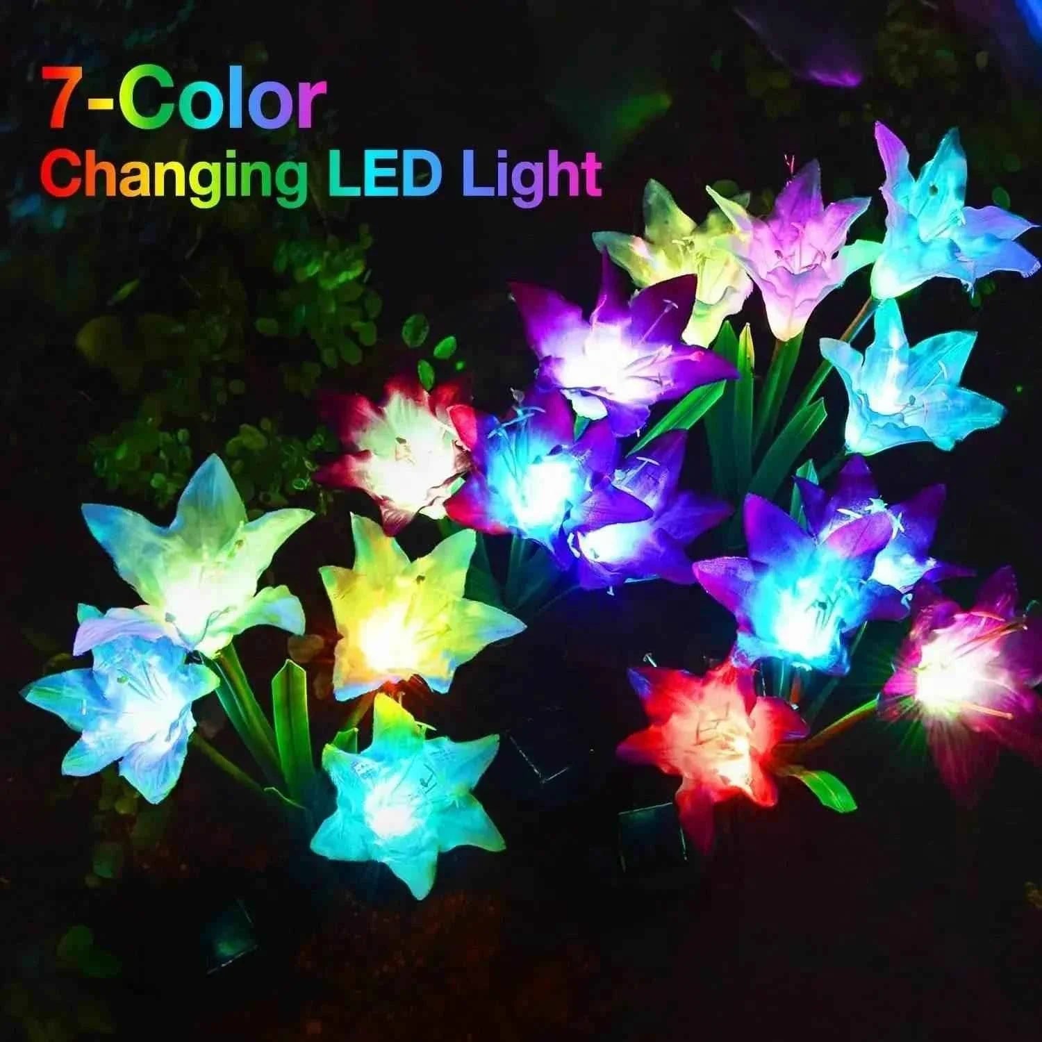 Outdoor Solar Lily Garden Lights - Decorative Pathway Lighting