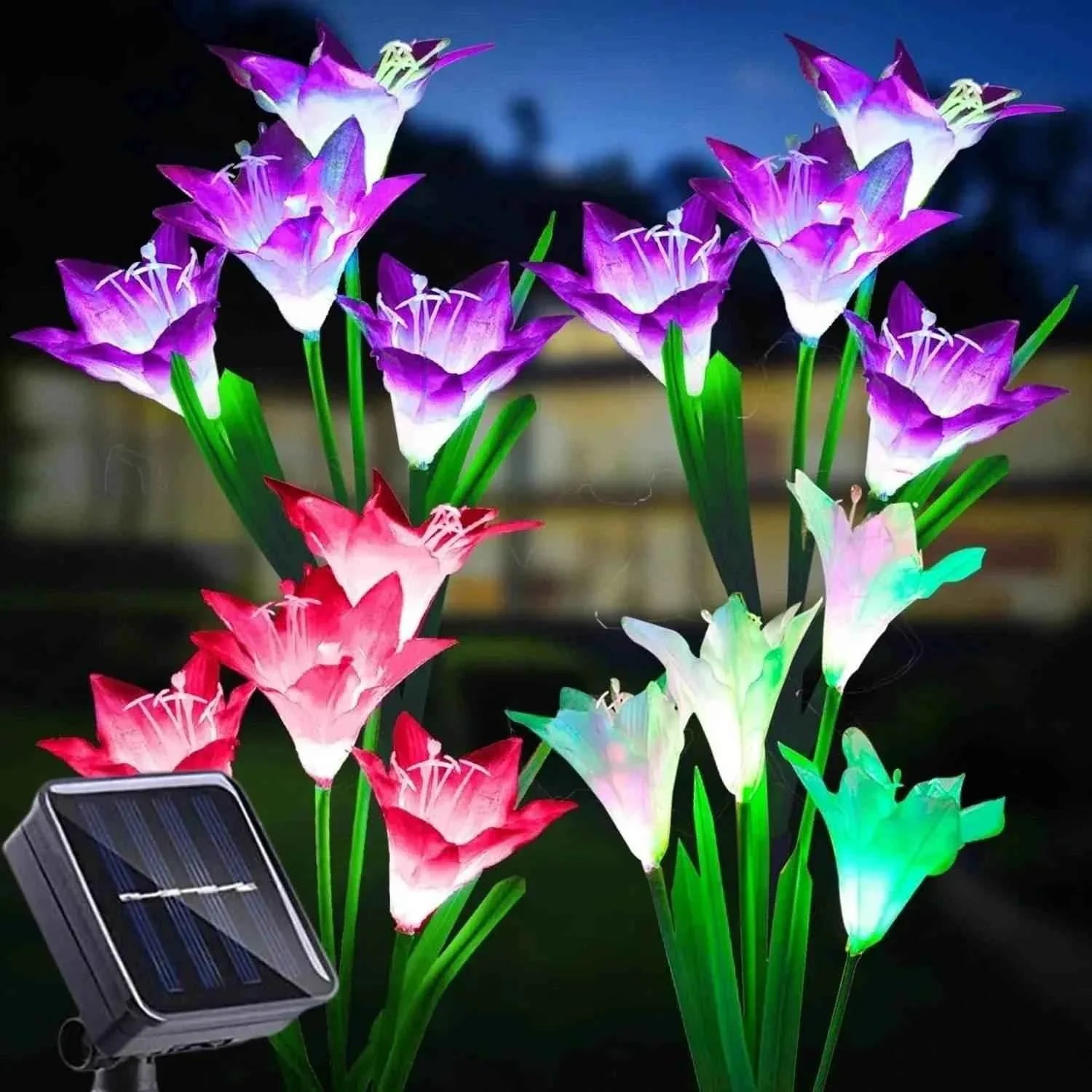 Outdoor Solar Lily Garden Lights - Decorative Pathway Lighting