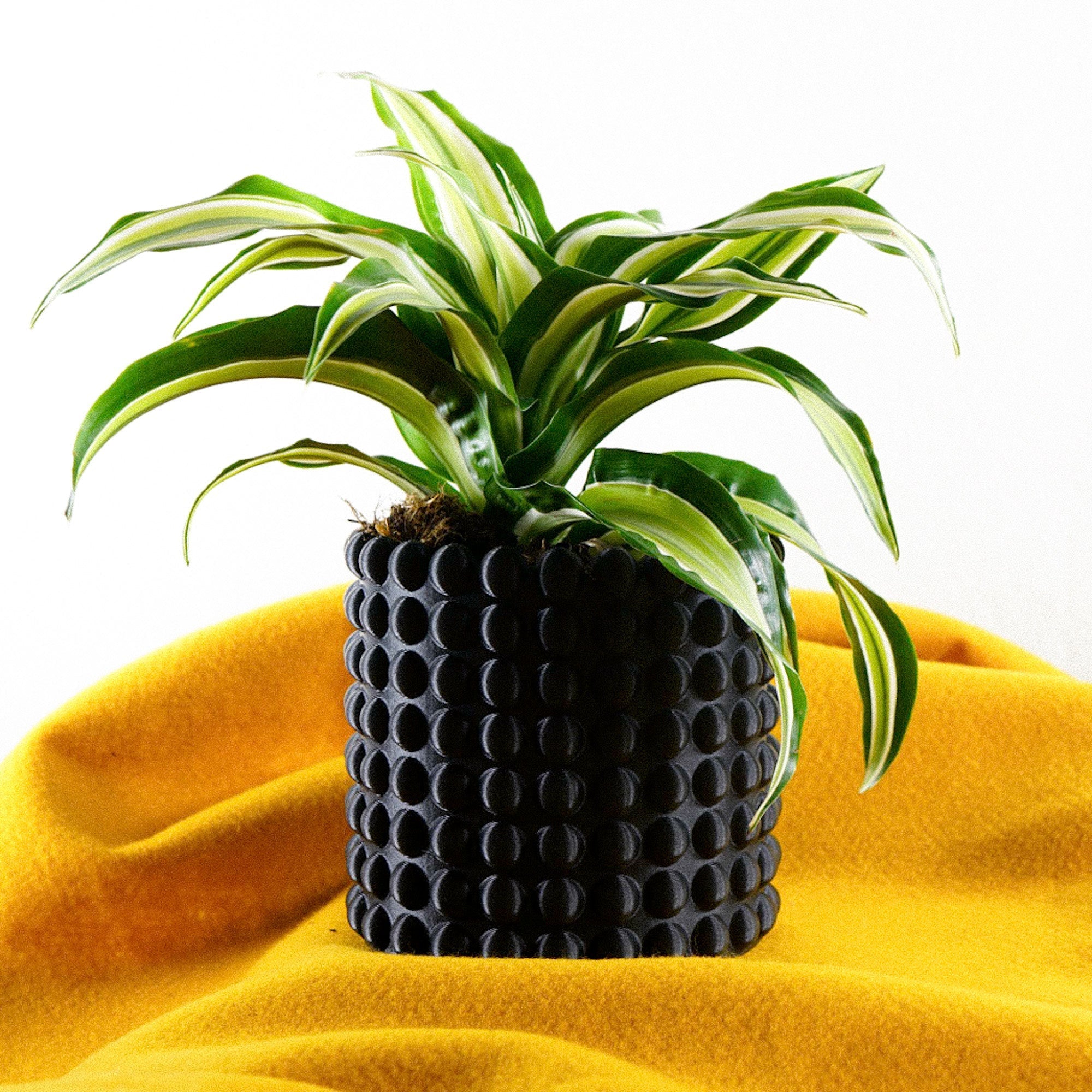 Ring of Pearls Planter Pot
